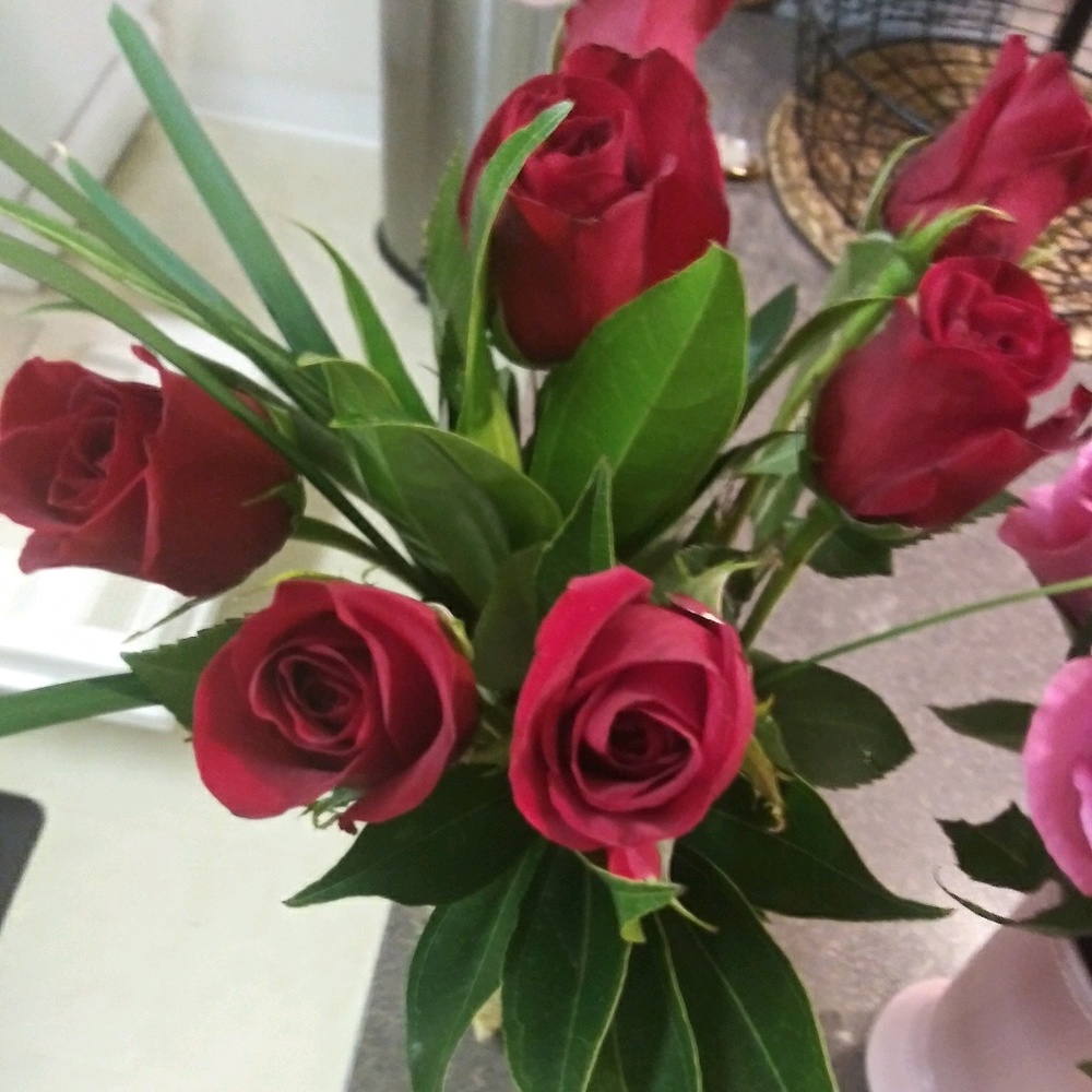 Meet your Posher, Sherry